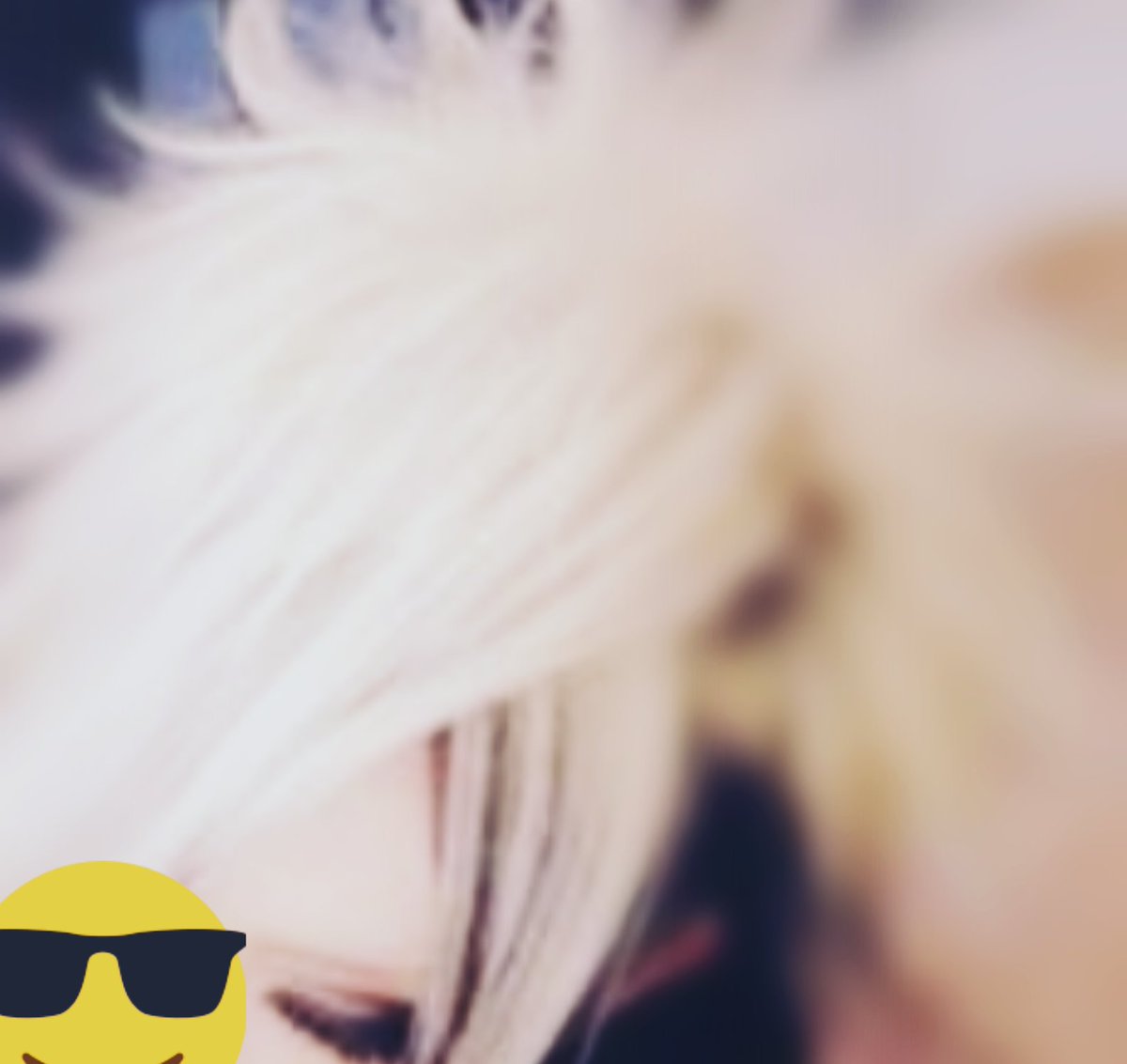 🐱雪乃💓 tweet media
