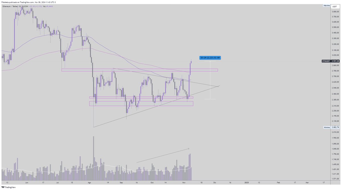 Fibobeta tweet media