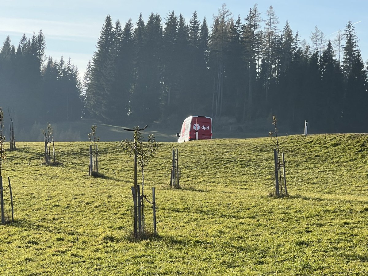Georg Waldmensch 🌳 tweet media