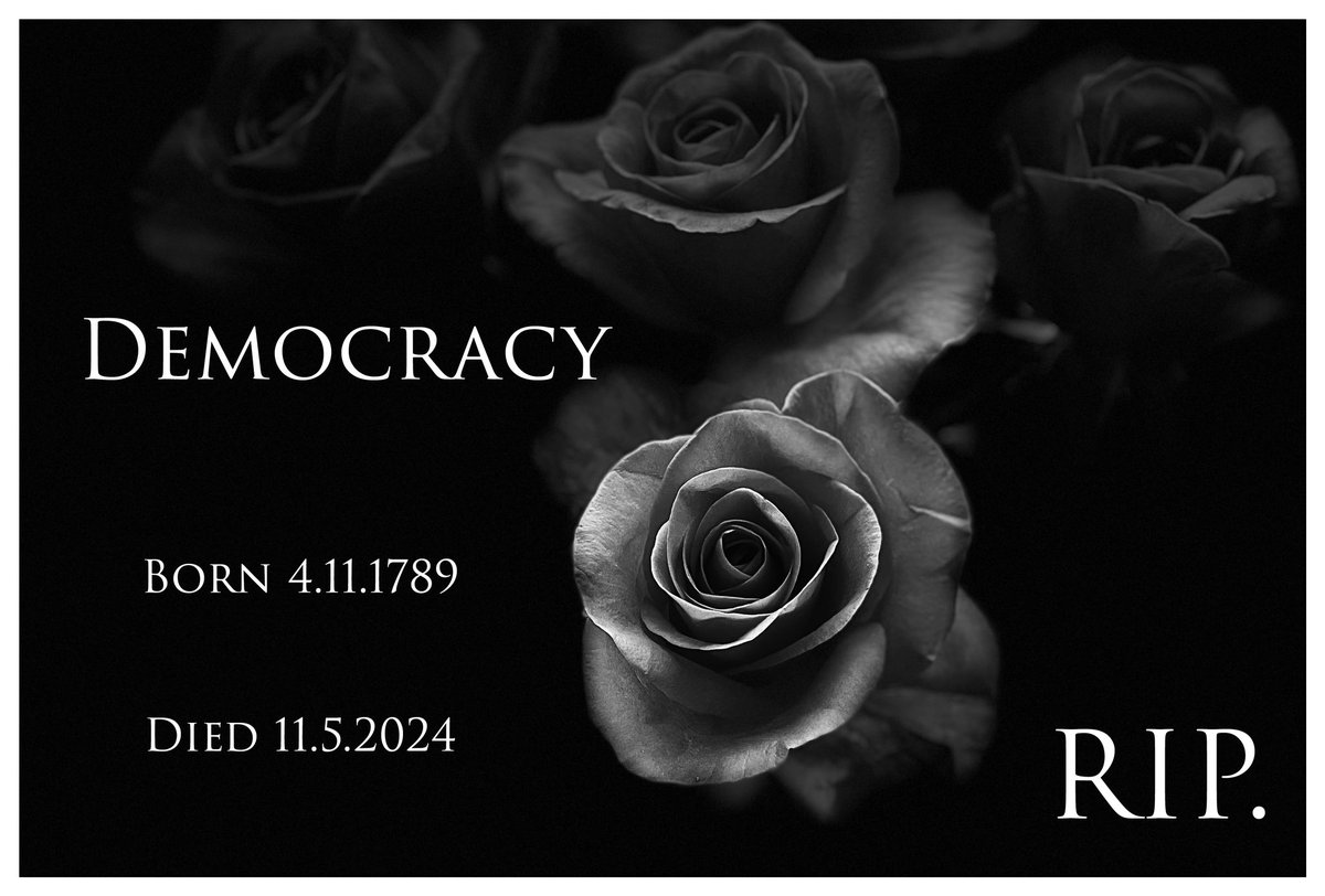 It's too late for a recount. Trump, with a lot of help from Russian and other's disinformation in our pockets has persuaded 73 million Americans to vote for an adjudicated rapist and convicted felon to take over their lives. There will be blood.