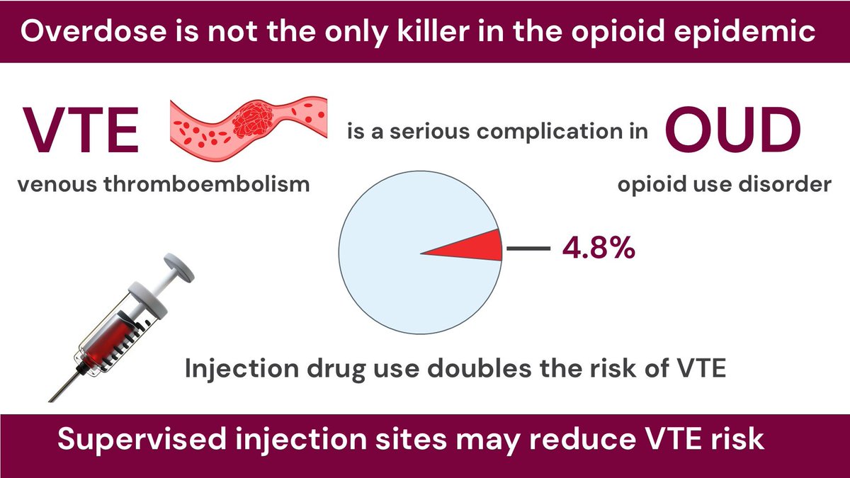 MyancaRodrigues's tweet photo. Honoured to win the 3-min project competition award at @canvector! Our work - the first in Canada on #VTE in people with #OUD- found that injection drug use doubles VTE risk. Grateful for support from @canvector, my mentors @ParpiaSameer @kerstindewit  &amp; Zena Samaan. https://t.co/w99BVAOnRk