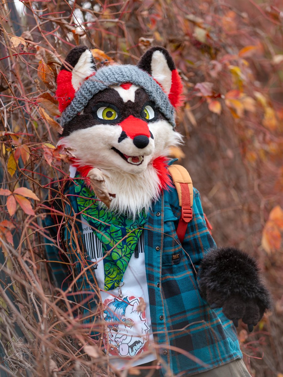 Pretty leaves around when autumn hits

Happy #FursuitFriday 

📸 <a href="/vlaaacek/">VlaceK</a> 
🧵 <a href="/crunchchute/">chase 🌆</a>