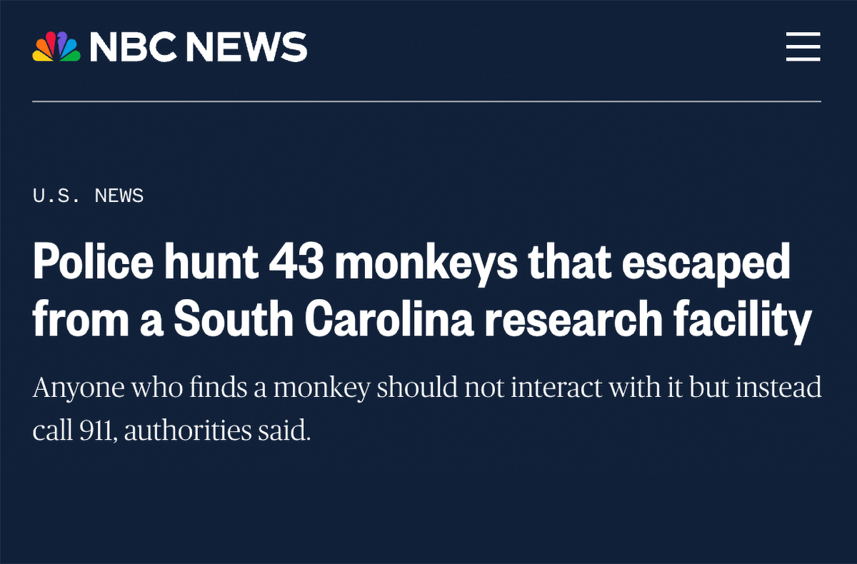 AppliedPrimate's tweet photo. 📢PSA: AppliedPrimate does not have any branches in the fine state of South Carolina. 👀

This #FollowFriday do NOT follow any random monkeys you might encounter in SC. Instead, reply with your Sentinel and follow your fellow Scientists and Sentinel Operators from the lab! 🐒 #ForAllApekind