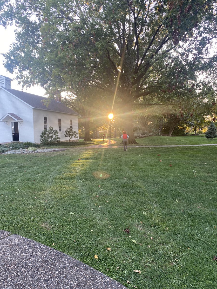RaySamlow's tweet photo. It’s a beautiful day 👍 https://t.co/qtERPpOLFG