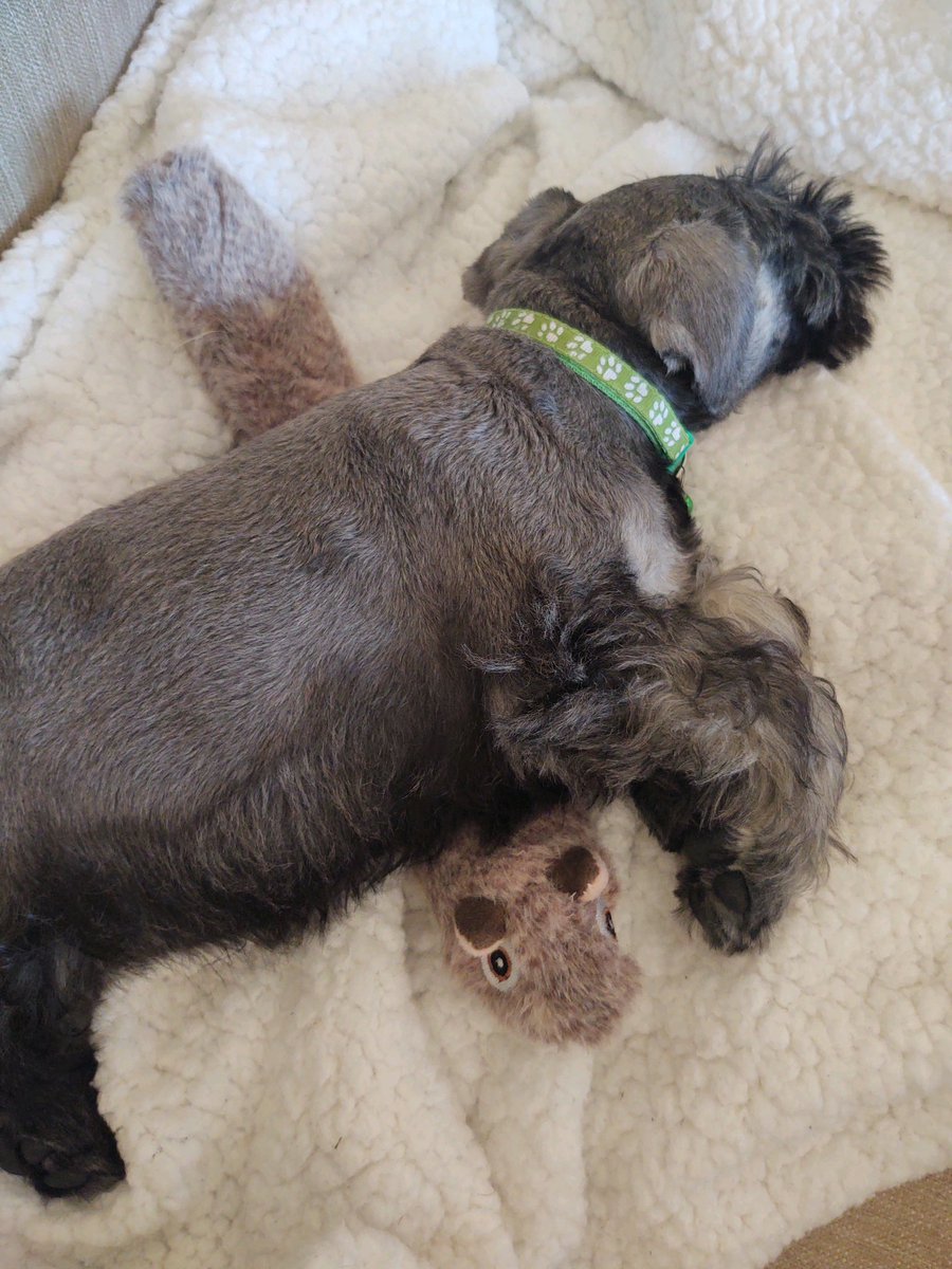 Oliver Holcomb tweet media