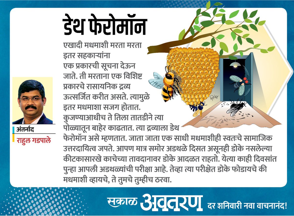 मधमाशी मरता मरता सहकाऱ्यांना एक प्रकारची सूचना देऊन जाते. ती मरताना एक विशिष्ट प्रकारचे रासायनिक द्रव्य ऊत्सर्जित करीत असते. ती आपल्या सहकाऱ्यांना तशी सूचना देते. इतर मधमाशा सजग होतात. कुजण्याआधीच ते तिला त्या पोळ्यातून बाहेर काढतात. त्या द्रव्याला डेथ फेरोमॉन असे म्हणतात.