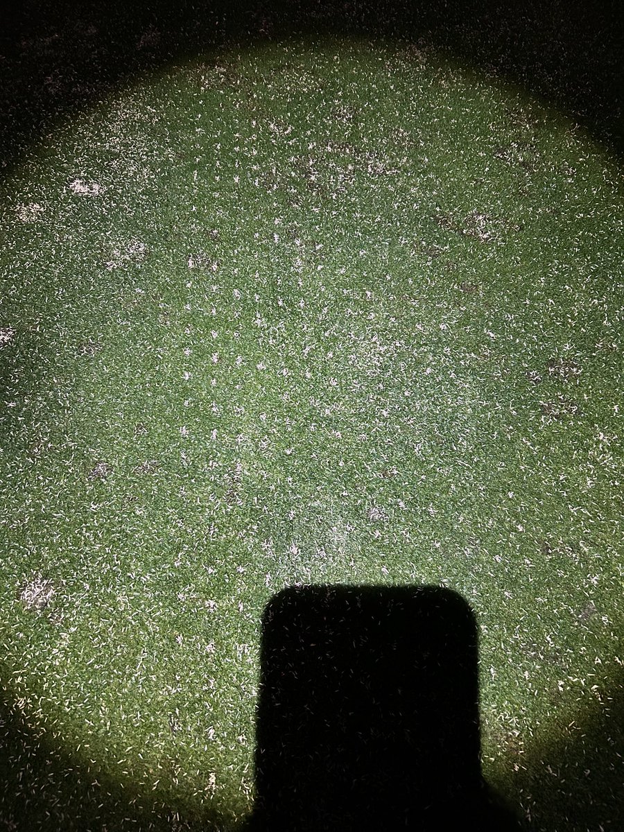 James Bass tweet media