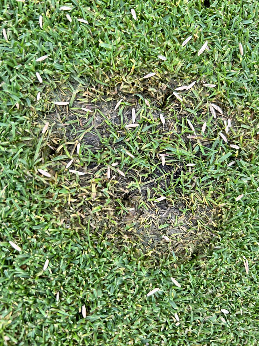 James Bass tweet media