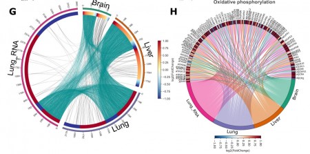 Ferramenta inovadora ajuda a aprimorar análises de dados proteômicos. Descrita em <a href="/NatureComms/">Nature Communications</a>, a solução foi desenvolvida na <a href="/unicampoficial/">unicampoficial</a> em meio a uma série de estudos sobre proteínas relacionadas a casos de esquizofrenia, depressão e COVID-19. agencia.fapesp.br/53255