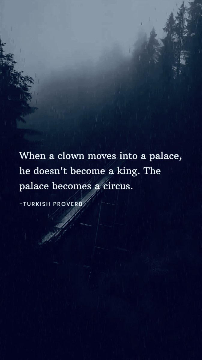 Pauline Fitzpatrick (@paulinedizzy) on Twitter photo 