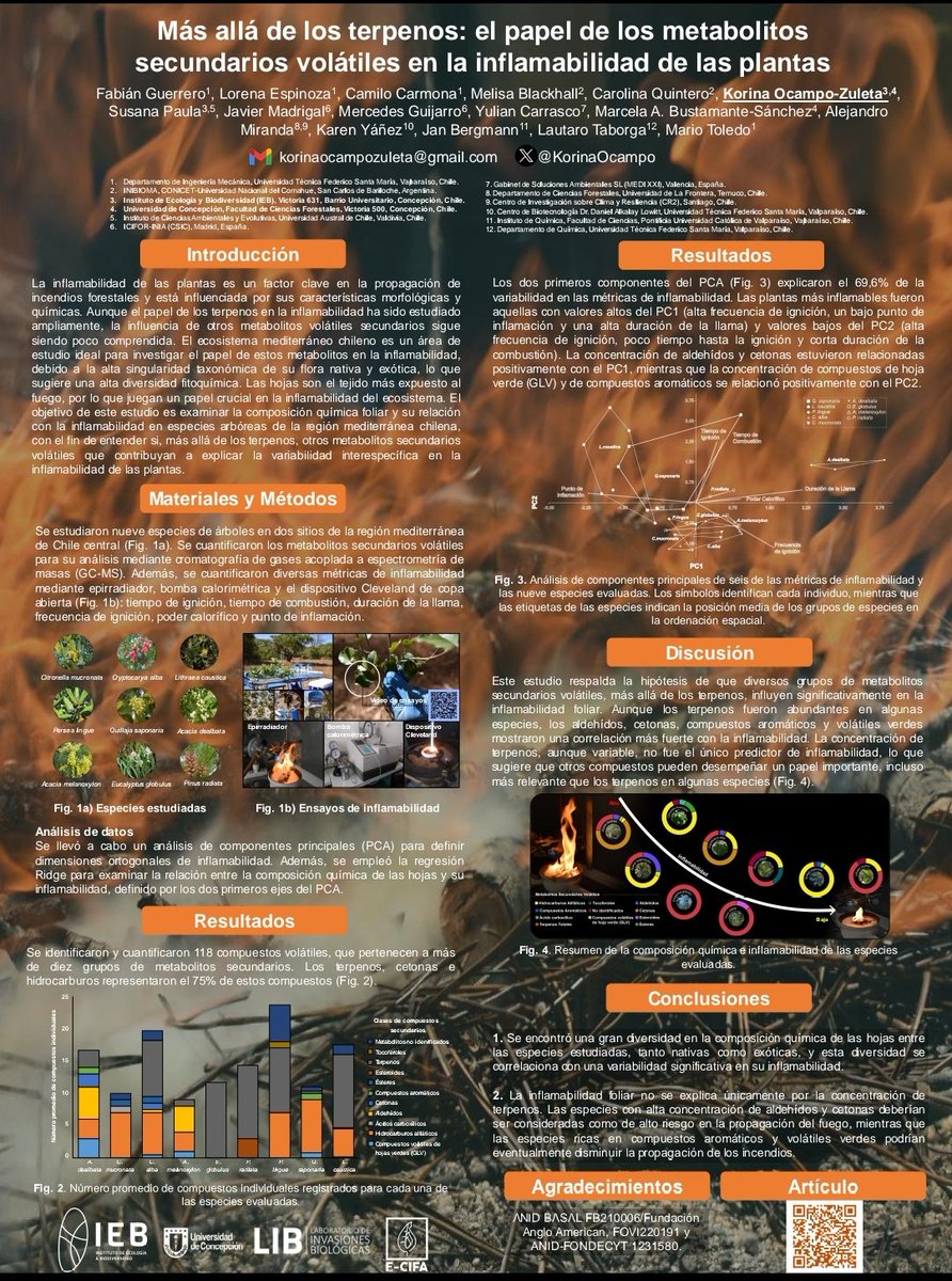 En la <a href="/socecol/">Sociedad de Ecología de Chile - SOCECOL</a> #2024 en La Serena, mostrando nuestra investigación producto de la Red iberoamericana de inflamabilidad (FOVI220191) 🔥 doi.org/10.1016/j.fore… con Susana Paula <a href="/PostCienciaUACh/">Postgrado Facultad de Ciencias UACh</a> y Fabián Guerrero <a href="/usantamaria/">USM</a> #ECIFA