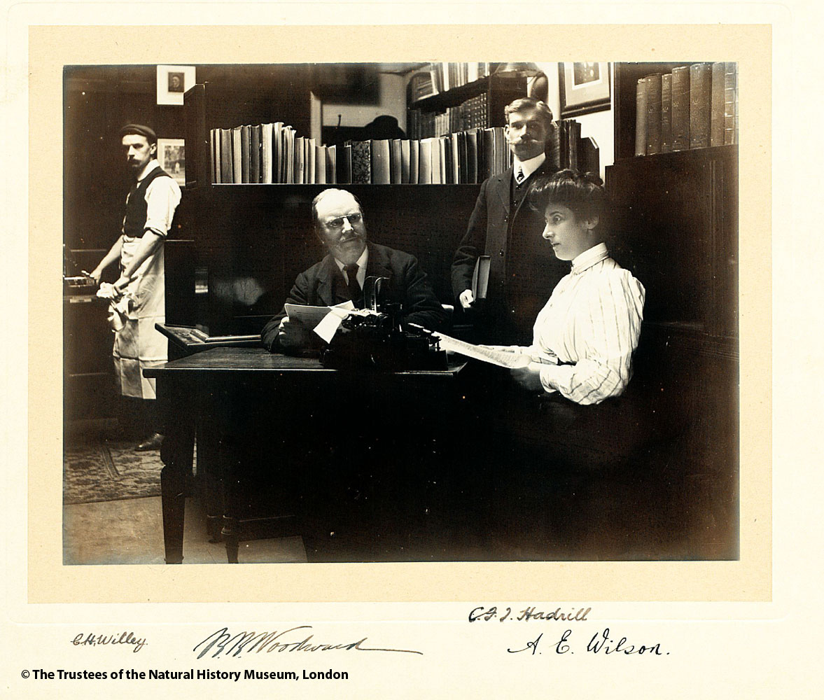 NHM Library and Archives (@nhm_library) on Twitter photo Happily, our moustache/women hiring ratio has changed in the <a href="/NHM_London/">Natural History Museum</a> Library since c.1900. #Movember2024 #Librarian Happily, our moustache/women hiring ratio has changed in the <a href="/NHM_London/">Natural History Museum</a> Library since c.1900. #Movember2024 #Librarian