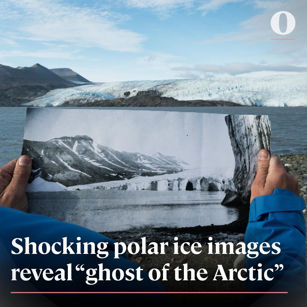 Oceanographic tweet media