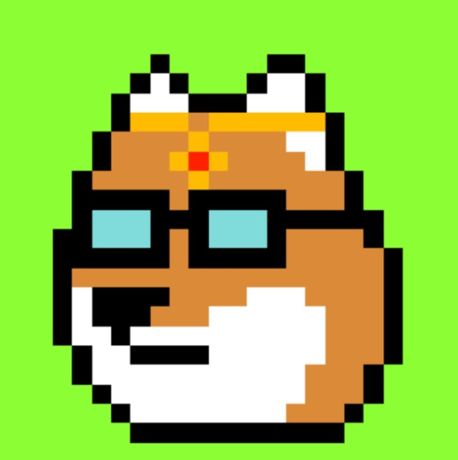 TheDopeDoges tweet media