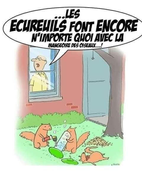 L'ina Burnel 🏈🇫🇷⚽🇫🇷🏈🇫🇷⚽🇫🇷🏈 (@burnelina) on Twitter photo <a href="/christo18871815/">germain</a> <a href="/nenettefcoco/">coco rêveuse ☮️🐦🌱🌊😂🥰</a> <a href="/JulieParker144/">Julie Parker</a> <a href="/DanielBrasilia/">Daniel de Godoy Lopes</a> <a href="/LisaNGuttenberg/">noel53</a> <a href="/postoff25/">Naji Filali</a> <a href="/jeancayeux/">Jean CAYEUX</a> <a href="/smaksked/">Smaksked Skåne AB 🌐smaksked.bsky.social</a> @fogle_shane <a href="/RagusoSergio/">Sergio_Raguso 🌐</a> <a href="/devaang/">Devaang Bhatt</a> <a href="/mdrechsler/">Michèle Drechsler</a> <a href="/enits5/">Christine</a> <a href="/cocottine2/">✍©Margot☀️mes voyages➡️🇨🇦🇮🇹🇲🇨🇲🇦🇹🇳🇦🇩</a> <a href="/NevilleGaunt/">Neville Gaunt 💡💡💡</a> <a href="/Dkell999/">꧁ Denise Ceallach RN ꧂ 💜☘️👩🎓📚</a> <a href="/ValeryMarchive/">Valéry Rieß-Marchive | @valerymarchive.bsky.social</a> <a href="/PVynckier/">Dr.Philippe Vynckier, CISSP - Influencer 🇺🇦</a> <a href="/Nicochan33/">Nicolas Babin</a> <a href="/LoveMeSomeBent/">Bentley Ciimonne</a> <a href="/LorenaBaricalla/">Lorena Baricalla</a> <a href="/fikafuntimes/">Fikafuntimes👉Nancy Tremblay🌹</a> <a href="/AngelMelodie2/">Melodie Williams 2</a> <a href="/Burnel15/">Burnel 🇫🇷🏈🇫🇷⚽🇫🇷</a> <a href="/Earthles/">••• Dr Les Willmore •••</a> <a href="/lguezo/">Loïc Guézo</a> <a href="/madame_michue/">Madame Michue</a> <a href="/olvid_io/">Olvid</a> <a href="/christo18871815/">germain</a> <a href="/nenettefcoco/">coco rêveuse ☮️🐦🌱🌊😂🥰</a> <a href="/JulieParker144/">Julie Parker</a> <a href="/DanielBrasilia/">Daniel de Godoy Lopes</a> <a href="/LisaNGuttenberg/">noel53</a> <a href="/postoff25/">Naji Filali</a> <a href="/jeancayeux/">Jean CAYEUX</a> <a href="/smaksked/">Smaksked Skåne AB 🌐smaksked.bsky.social</a> @fogle_shane <a href="/RagusoSergio/">Sergio_Raguso 🌐</a> <a href="/devaang/">Devaang Bhatt</a> <a href="/mdrechsler/">Michèle Drechsler</a> <a href="/enits5/">Christine</a> <a href="/cocottine2/">✍©Margot☀️mes voyages➡️🇨🇦🇮🇹🇲🇨🇲🇦🇹🇳🇦🇩</a> <a href="/NevilleGaunt/">Neville Gaunt 💡💡💡</a> <a href="/Dkell999/">꧁ Denise Ceallach RN ꧂ 💜☘️👩🎓📚</a> <a href="/ValeryMarchive/">Valéry Rieß-Marchive | @valerymarchive.bsky.social</a> <a href="/PVynckier/">Dr.Philippe Vynckier, CISSP - Influencer 🇺🇦</a> <a href="/Nicochan33/">Nicolas Babin</a> <a href="/LoveMeSomeBent/">Bentley Ciimonne</a> <a href="/LorenaBaricalla/">Lorena Baricalla</a> <a href="/fikafuntimes/">Fikafuntimes👉Nancy Tremblay🌹</a> <a href="/AngelMelodie2/">Melodie Williams 2</a> <a href="/Burnel15/">Burnel 🇫🇷🏈🇫🇷⚽🇫🇷</a> <a href="/Earthles/">••• Dr Les Willmore •••</a> <a href="/lguezo/">Loïc Guézo</a> <a href="/madame_michue/">Madame Michue</a> <a href="/olvid_io/">Olvid</a>
