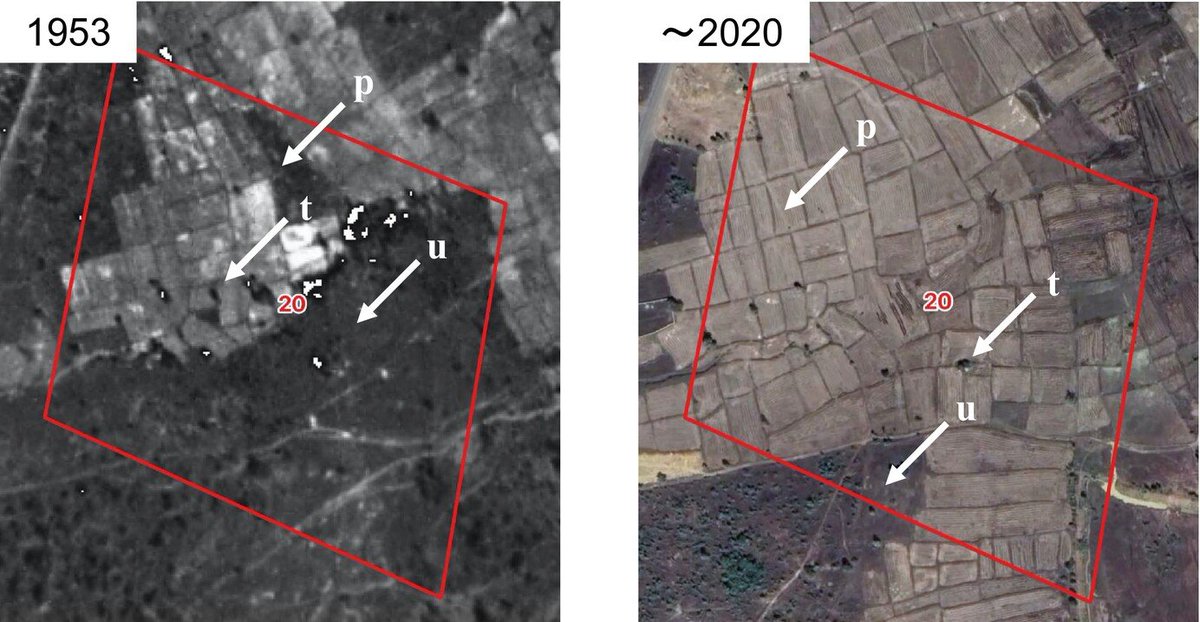 Soil Use and Management (@sumjournal) on Twitter photo ***NEW*** #OpenAccess
Utilization of IGN historical aerial photographs and Google earth for measuring changes in land use and evolution of termite lenticular mound abundance...
Muon, Zaiss, Lao, Ann & Jouquet🇰🇭🇫🇷
#soil <a href="/Soil_Science/">British Society of Soil Science</a> <a href="/iEESParis/">iEES Paris</a>
doi.org/10.1111/sum.13… ***NEW*** #OpenAccess
Utilization of IGN historical aerial photographs and Google earth for measuring changes in land use and evolution of termite lenticular mound abundance...
Muon, Zaiss, Lao, Ann & Jouquet🇰🇭🇫🇷
#soil <a href="/Soil_Science/">British Society of Soil Science</a> <a href="/iEESParis/">iEES Paris</a>
doi.org/10.1111/sum.13…