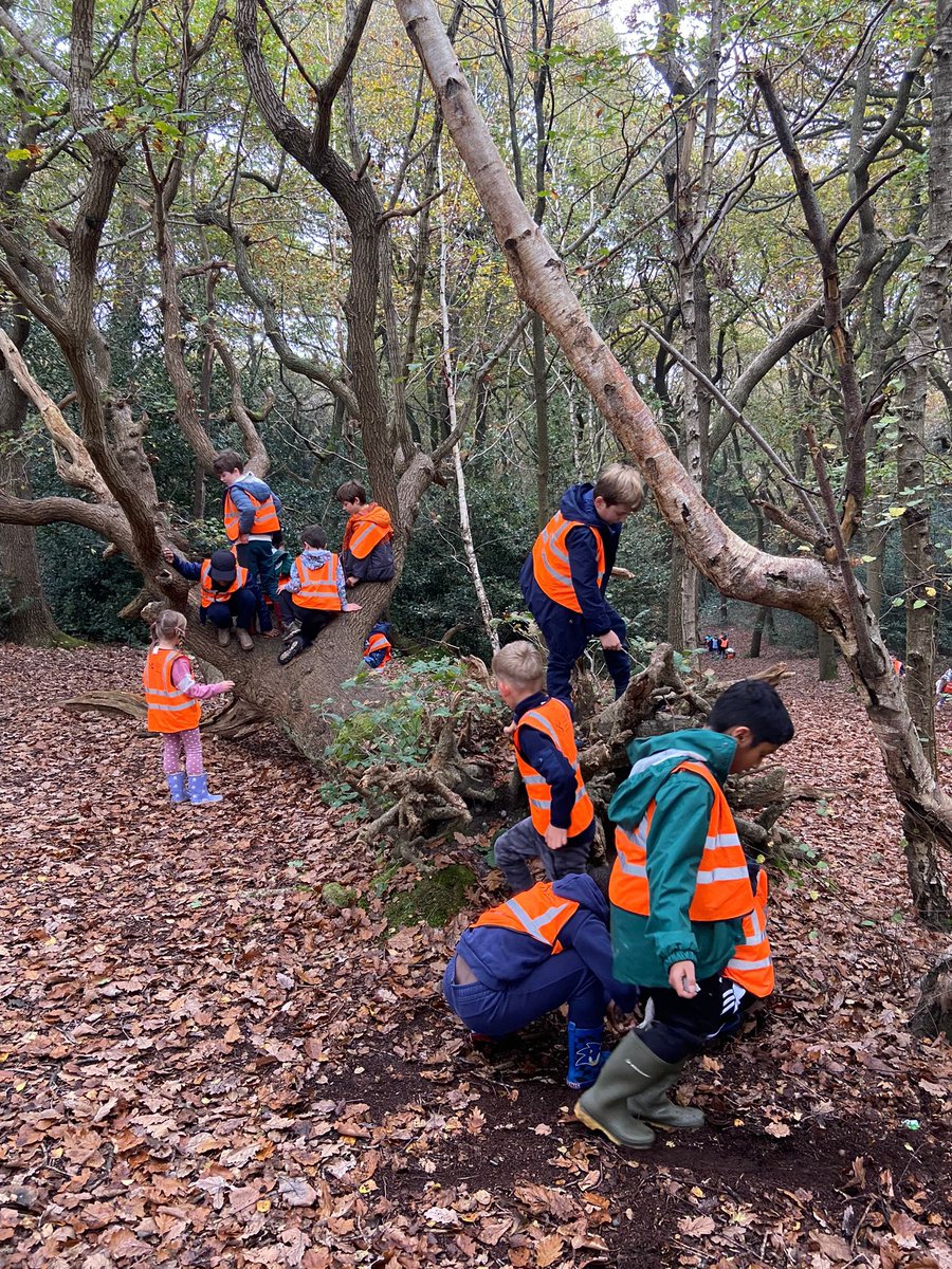 StPetersCroydon's tweet image. Year 3 visited the woods today as part of their history learning (Stone Age) and science learning (rocks). They had lots of fun building Stone Age shelters out of natural materials. #crosscurricular #outdoorlearning #fun @GreenshawTrust