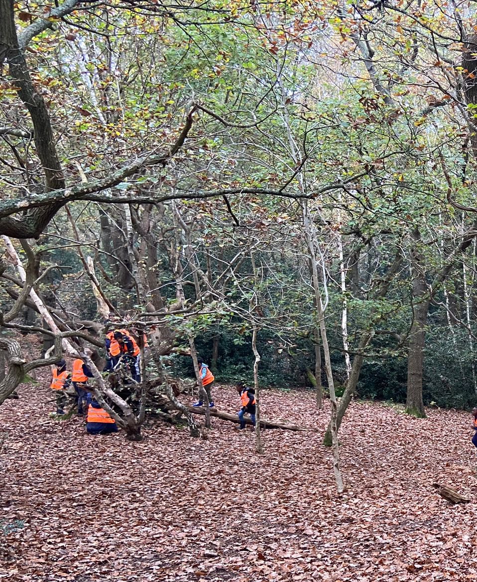 StPetersCroydon's tweet image. Year 3 visited the woods today as part of their history learning (Stone Age) and science learning (rocks). They had lots of fun building Stone Age shelters out of natural materials. #crosscurricular #outdoorlearning #fun @GreenshawTrust