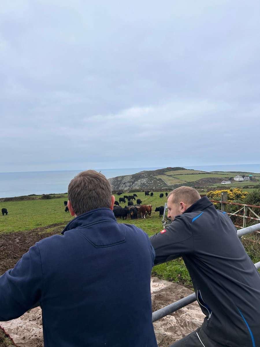 Less than 24 hours after Labour’s budget, I found myself back on the family farm, leaning against a gate with my brother, looking out over a field filled with my father’s cattle.

My brother and his family were home for half term, and my father had, quite rightly, timed some farm