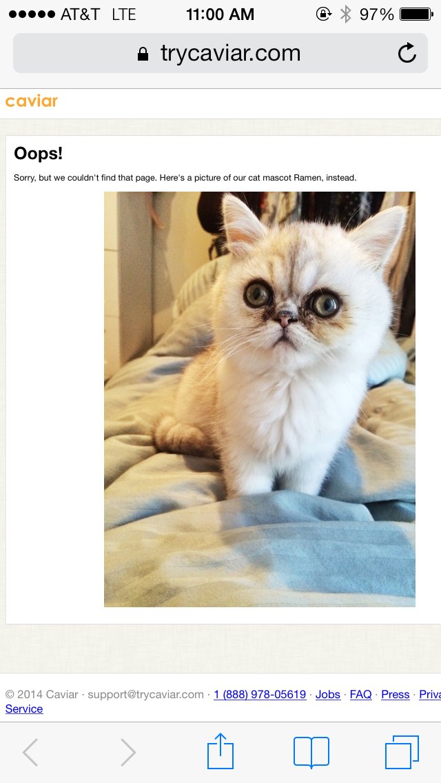 RIP Caviar's OG 404 startup cat, <a href="/ramenmew/">ramen the cat</a>. You fought the good fight and free of cancer now. It's a magical world, Ramen ol' buddy. Let's go exploring!