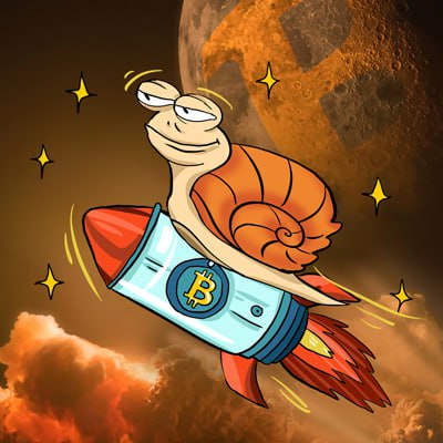 Zels SpaceX tweet media