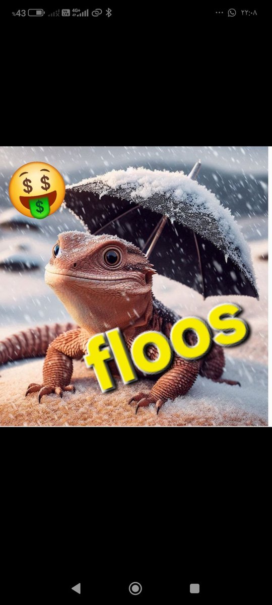 fox_a89941's tweet photo. @binance Love my family , love my culture, love $ FLS #floos_sol memecoin. https://t.co/NL4rafIMD5