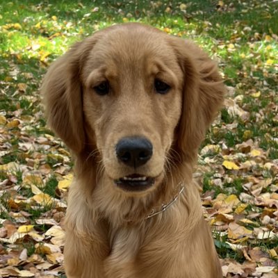 JJ tweet media