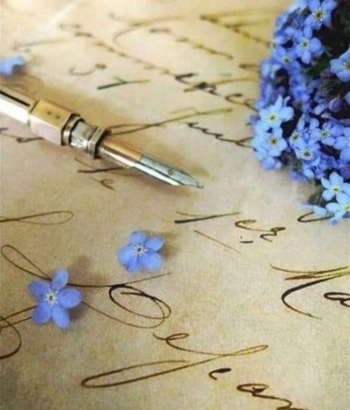 VALB30vb's tweet photo. "J'ai écrit des mots qui dorment 
      et je les ai laissé rêver."

Bonne soirée, douce nuit  🌃🌙 https://t.co/tpBMVj5WUT