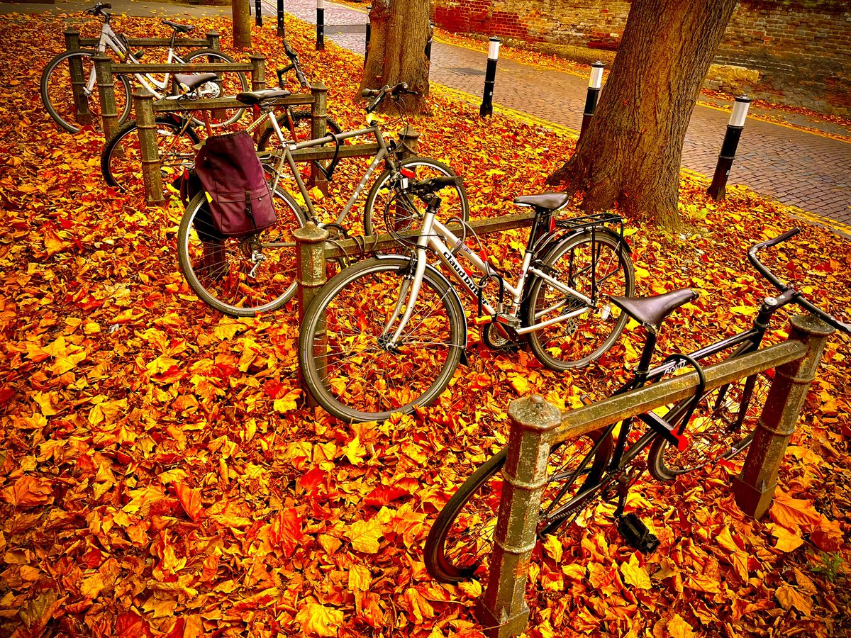 Another grey day in Norwich, but some autumn colour under the off-white skies in Tombland this afternoon… 🍂🍁🍂🍁🍂🍁🍂🍁🍂🍁🍂🍁🍂<a href="/WeatherAisling/">Aisling Creevey</a> <a href="/ChrisPage90/">Chris Page - Weatherman</a> <a href="/StormHour/">#StormHour</a> <a href="/metoffice/">Met Office</a> #loveukweather <a href="/VisitNorwich/">VisitNorwich</a> <a href="/EDP24/">Eastern Daily Press</a>