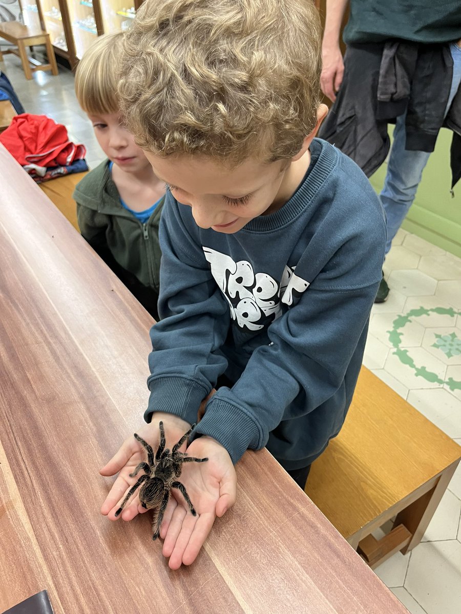 berta5mora's tweet image. El Museu de la Ciència de Granollers programa un munt d’activitats!
Avui al taller d’artròpodes 🕸️🌱🐚