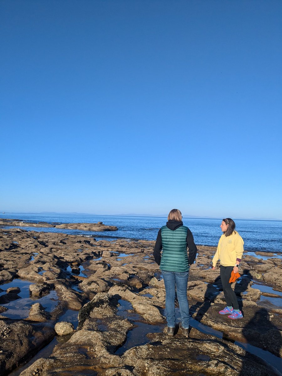 Catherine Gemmell (@cathgem2000) on Twitter photo It was fantastic to take out two of my <a href="/mcsuk/">Marine Conservation Society</a> colleagues for their volunteering day with <a href="/morayocean/">Moray Ocean Community</a>
Moray Ocean Community is all about connecting people to the amazing Moray Coast and one of the ways we do that is through citizen science - we managed to squeeze a lot in today! It was fantastic to take out two of my <a href="/mcsuk/">Marine Conservation Society</a> colleagues for their volunteering day with <a href="/morayocean/">Moray Ocean Community</a>
Moray Ocean Community is all about connecting people to the amazing Moray Coast and one of the ways we do that is through citizen science - we managed to squeeze a lot in today!