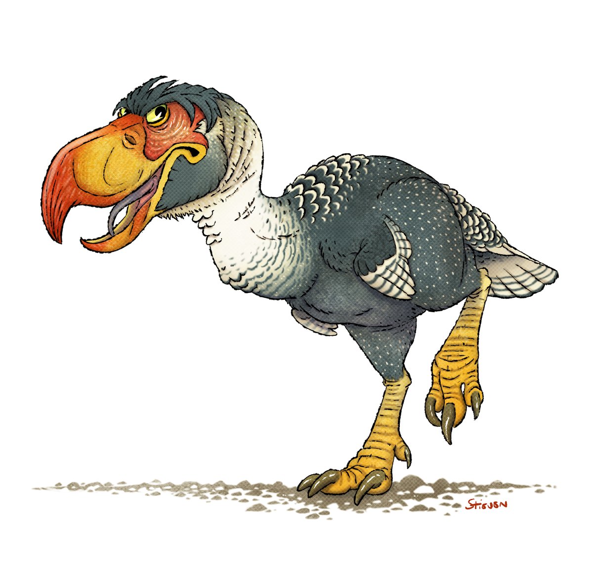 StievenVdP's tweet image. Oldie but a goodie...
On the "have to put this species in a diorama" list.