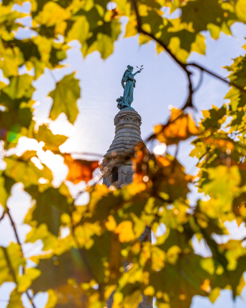 InfoNewHaven's tweet image. This is your reminder to look ⬆️! It's leaf peeping season in New Haven and the foliage is really p̶o̶p̶p̶i̶n̶g̶ peeping off. 🍁

For the best leaf-peeping spots in town head here: bit.ly/3eFzL2r

🍂 
#NHV #EastRockPark #LeafPeeping #Fall