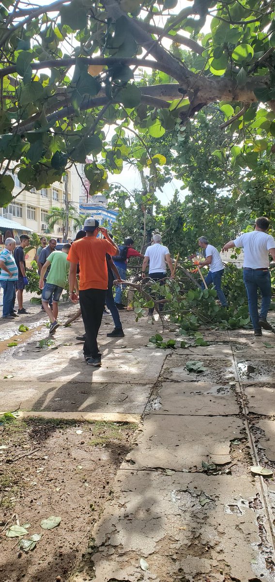 Nos unimos a la <a href="/UjcMinrex/">UJC Minrex</a> en las labores de recuperación 💪🏻 tras el paso del Huracán #Rafael en las áreas aledañas a nuestro Instituto y al Ministerio 🇨🇺.

#UnidosXCuba
#FuerzaCuba