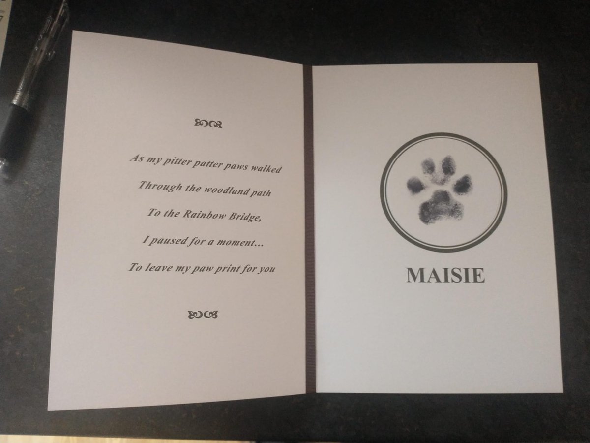 Maisie-Moo 🐿️🐾 🌈 tweet media