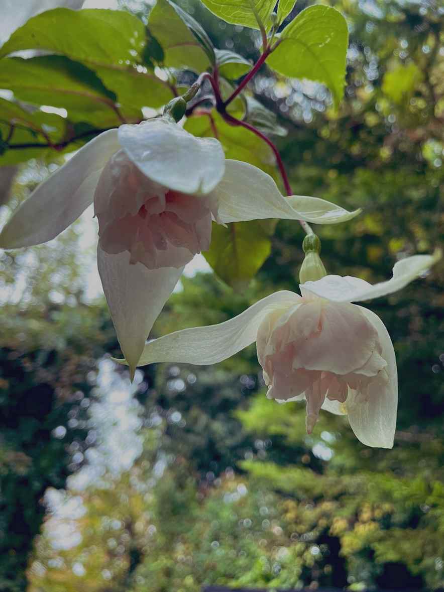 What’s the latest from hpl?