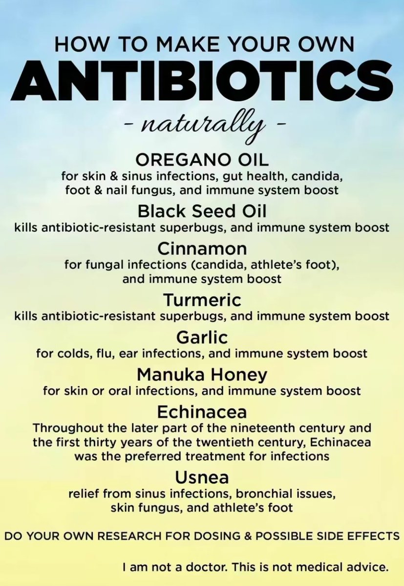 FredsFarm247's tweet photo. Make your own antibiotics👇🏽 https://t.co/cuUE5QC4XV