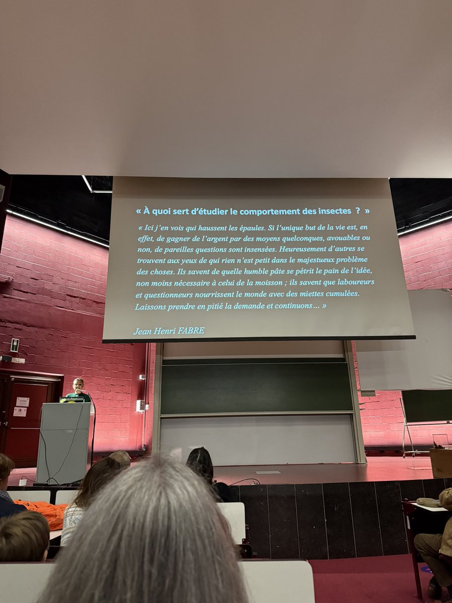 Letizia G tweet media