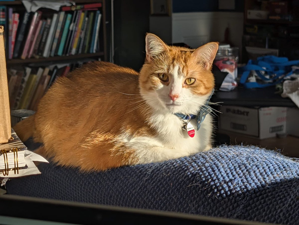 LTsEarrings's tweet photo. My husband sends me this after I send him a pic of me and bathing suit cleavage, and I dunno maybe Wilbur is judging me a bit for it 
Geez, Wilbur, let your parents flirt-! https://t.co/I9wIBWvW4z
