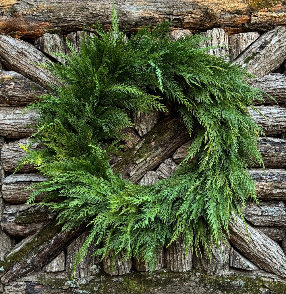 flowermagazine's tweet photo. Exterior designer Raleigh Adams is selling holiday wreaths to help raise support for those affected by Hurricane Helene. Click https://t.co/8I5vsy7tWM to find out more and to purchase a wreath!
📸Raleigh Adams
#helenesupport #wnc #northcarolina #holiday #holidays #flowermagazine https://t.co/mDPyIsBO7J