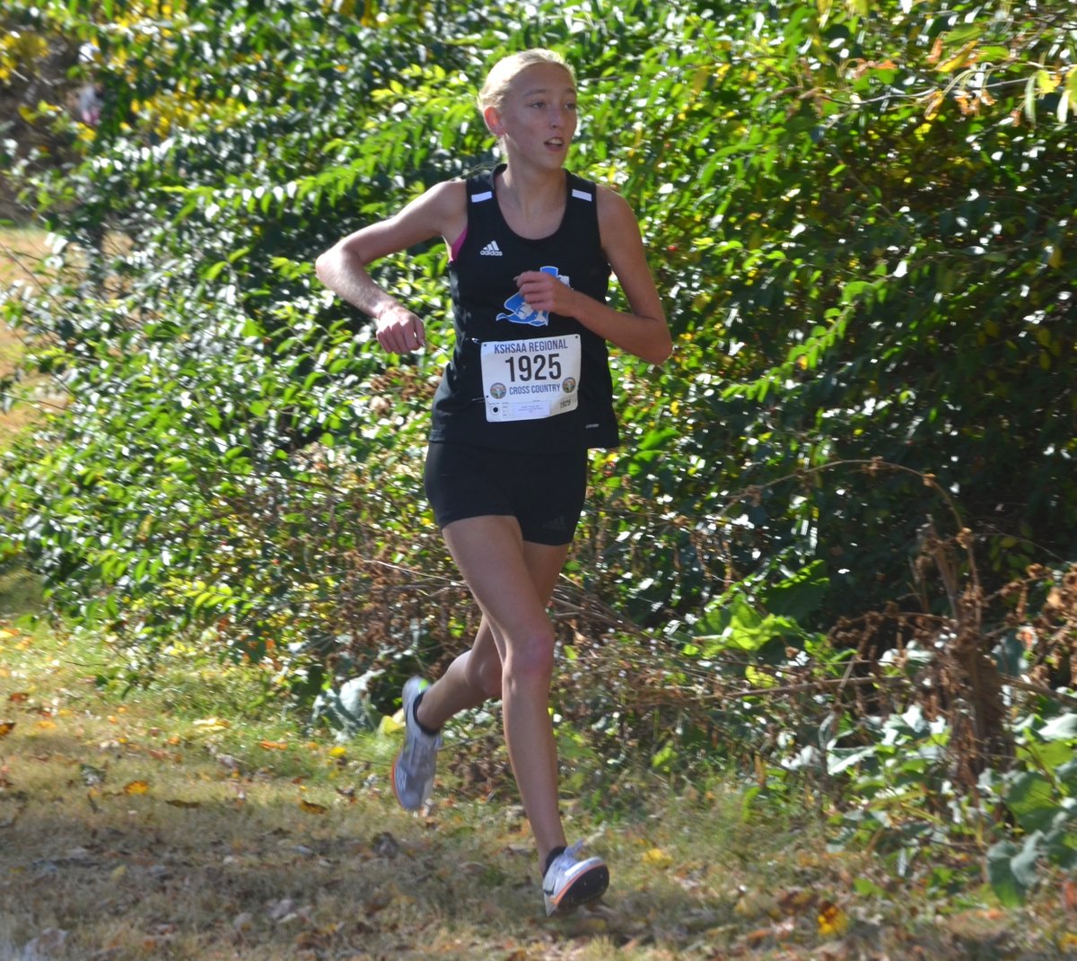 . <a href="/RHS_DAWG_FB/">Rossville HS FB</a>'s <a href="/cbush_5/">Conner Bush</a>, <a href="/RuralXC/">Washburn Rural XC</a>'s Emily Graf the <a href="/DanKey_Farmers/">Dan Key Farmers Agency</a> Rising Stars of the Week. ... 
loom.ly/8X1JrNs