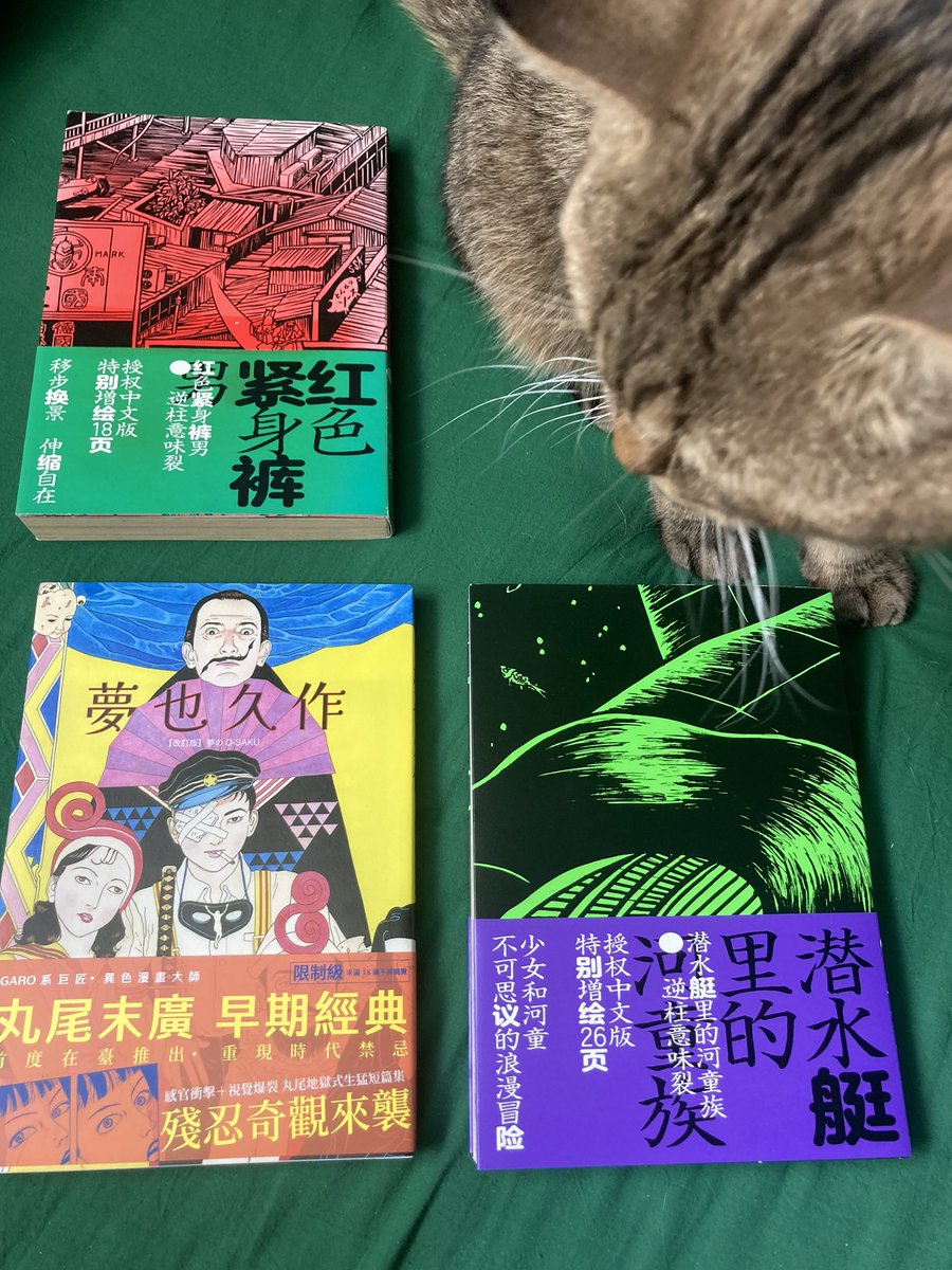 zhouyang (@zhouyang69) on Twitter photo 