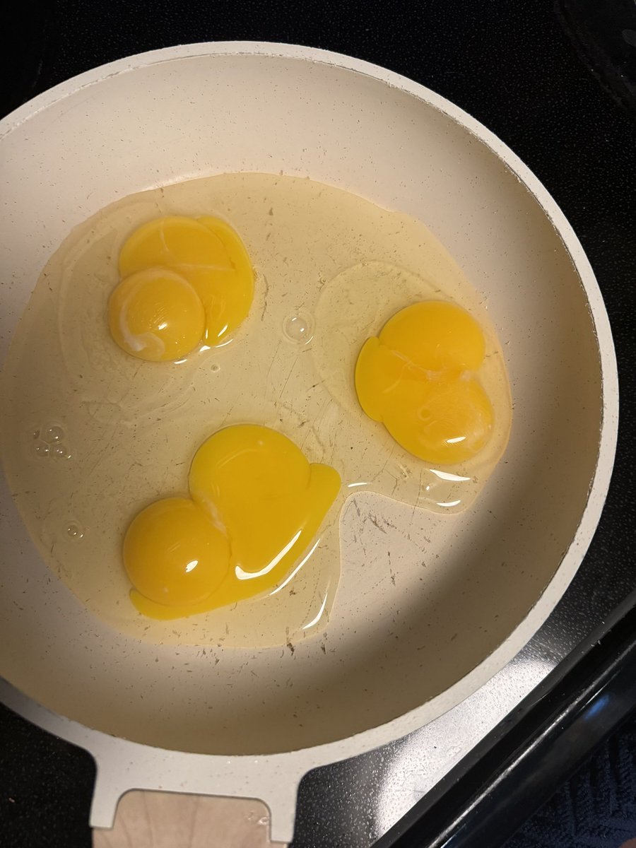 berndaddy11's tweet photo. I know you’ve all been waiting patiently... The prophecy is complete! A dozen double yolkers. Never thought I’d see the day. What does this mean? What is next? Is this boom or doom? #DoubleYolks #EGGS https://t.co/u8gAd7Eg49