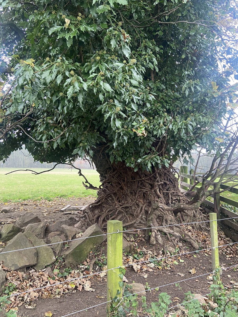 Gemma Burns tweet media