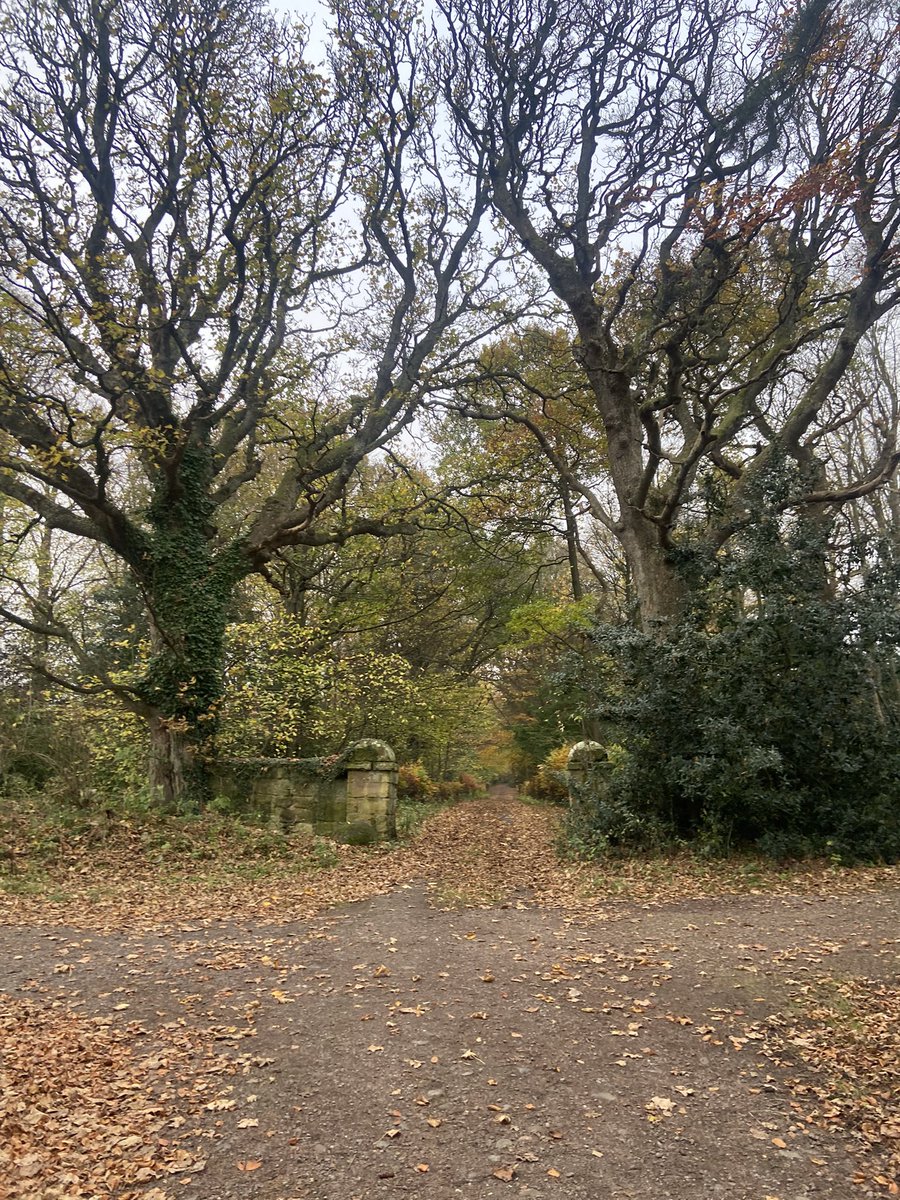 Gemma Burns tweet media