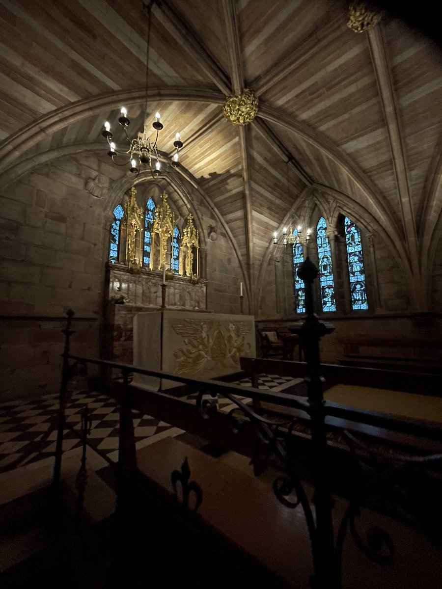 Grizzlegutweed the Bear tweet media