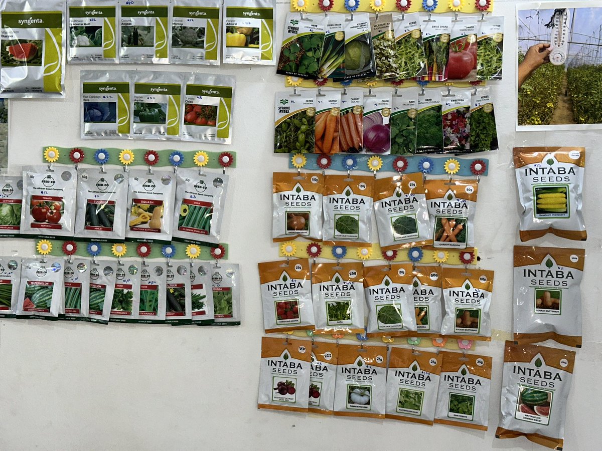 🦄 Agronomybae -IPM Queen👸 tweet media