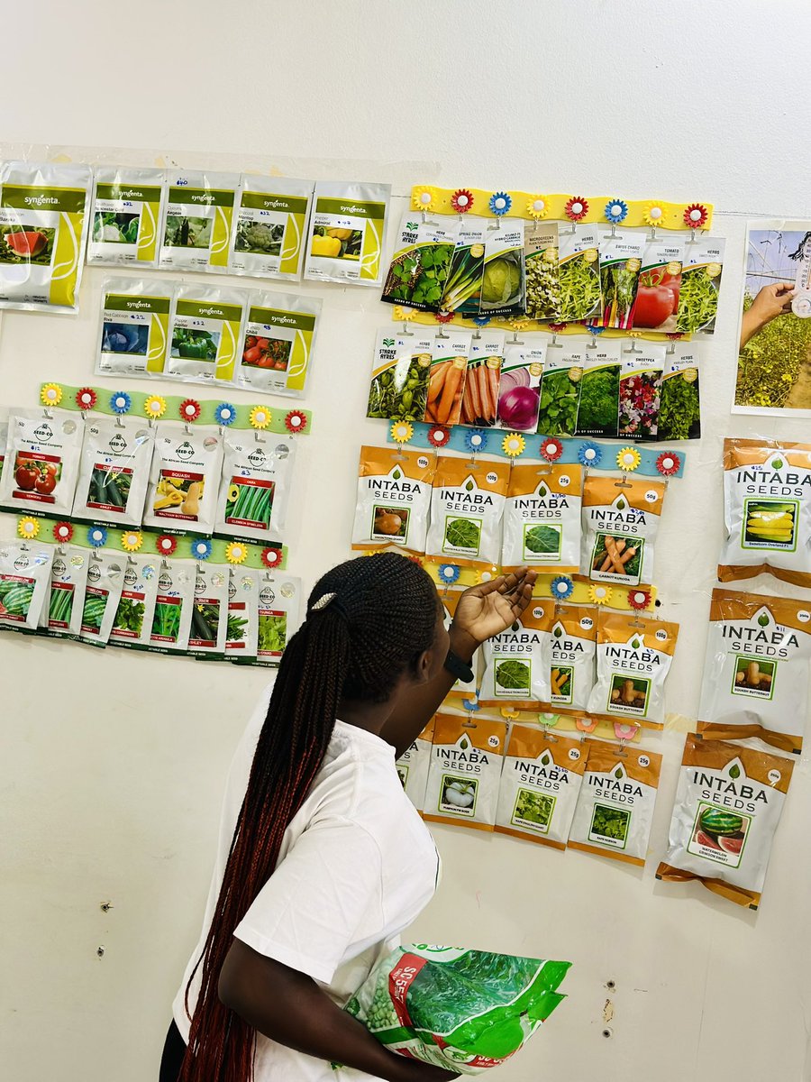 Crop Care Agro is now a stockist of some of your favorite Intaba and Syngenta products at recommended retail prices.
Take the convenience of their location and serene shopping environment at same affordable rates.
0713271694