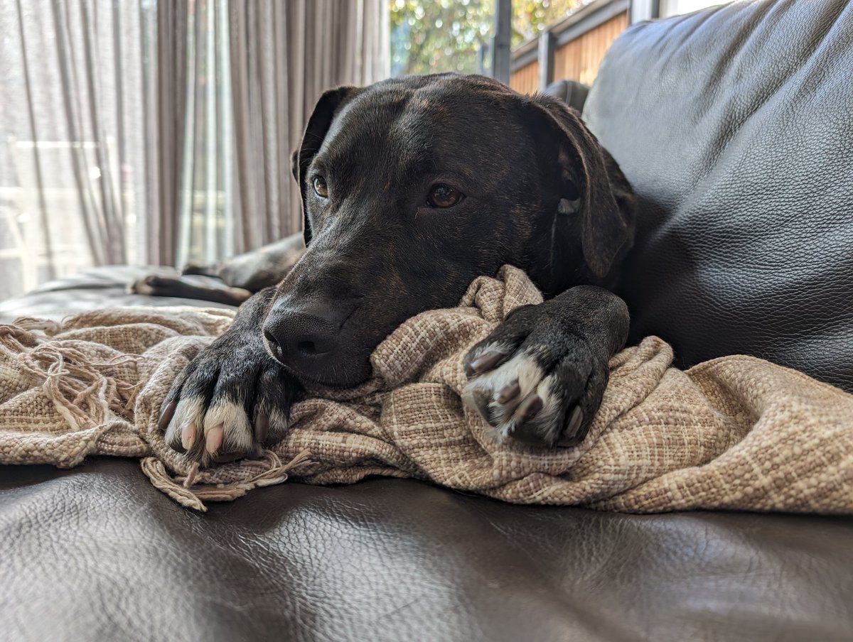 just this guy tweet media