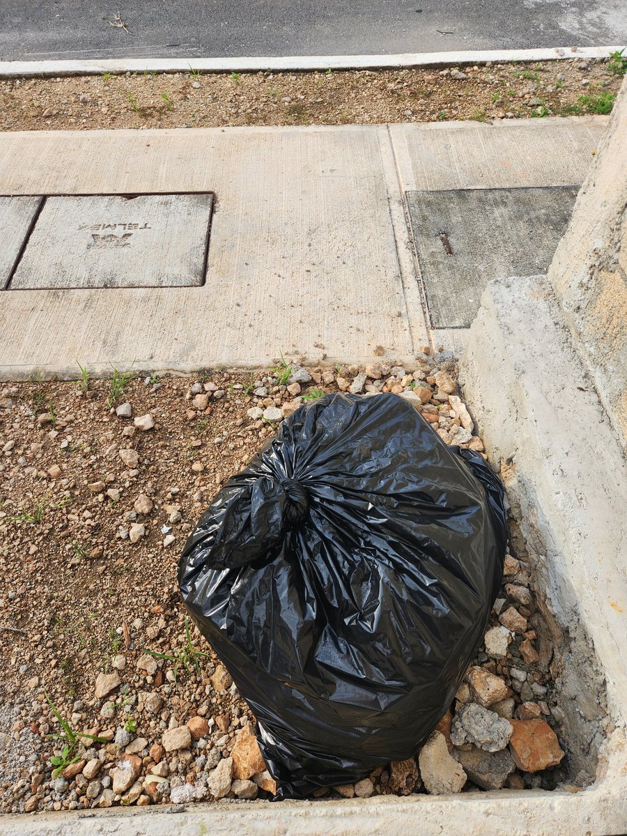 pedrohr74's tweet photo. Por TERCERA semana consecutiva, esta es la hermosa vista de la puerta de mi casa, hasta cuándo tengo que esperar @AyuntaMerida para @Sana_mid pase por la basura en Los Héroes? #pésimoservicio https://t.co/tlca2esygk